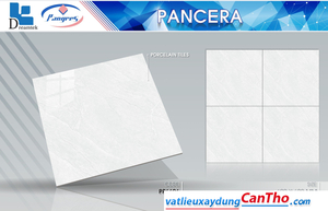 Pancera PP 6626